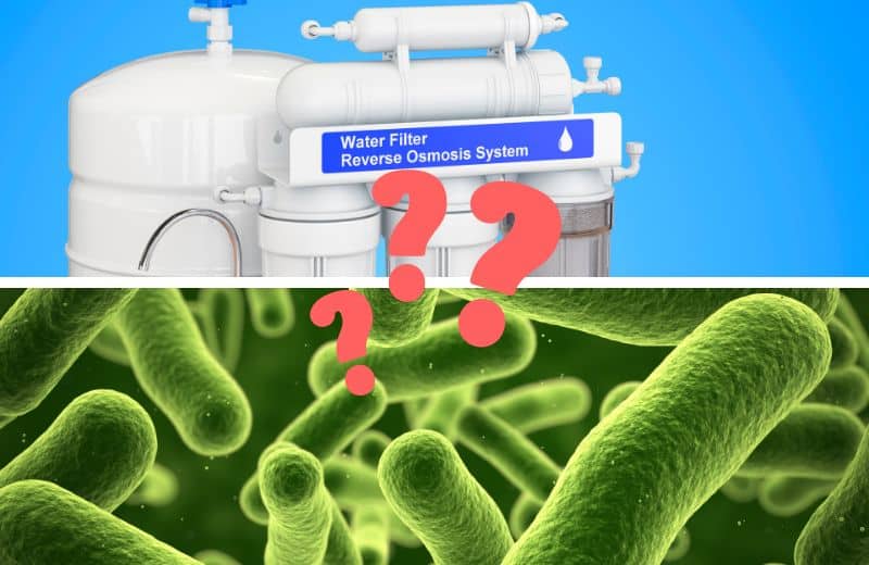 Bacteria, Viruses, & Parasites in Drinking Water 101