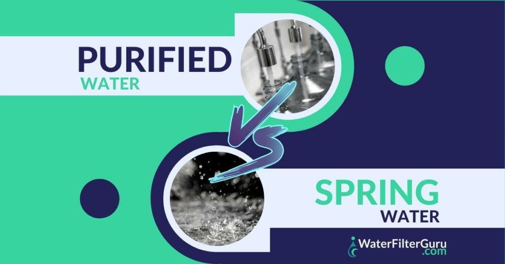 Purified Water vs Spring Water