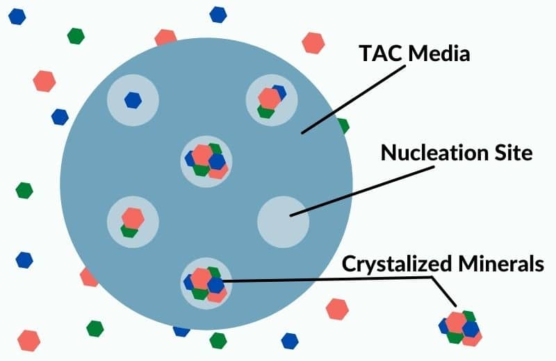 Template assisted crystallization media diagram