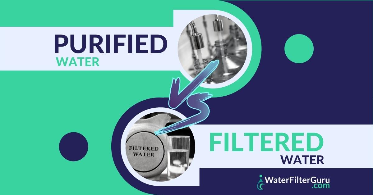 Purified vs Filtered Water (The 2024 Definitive Comparison)