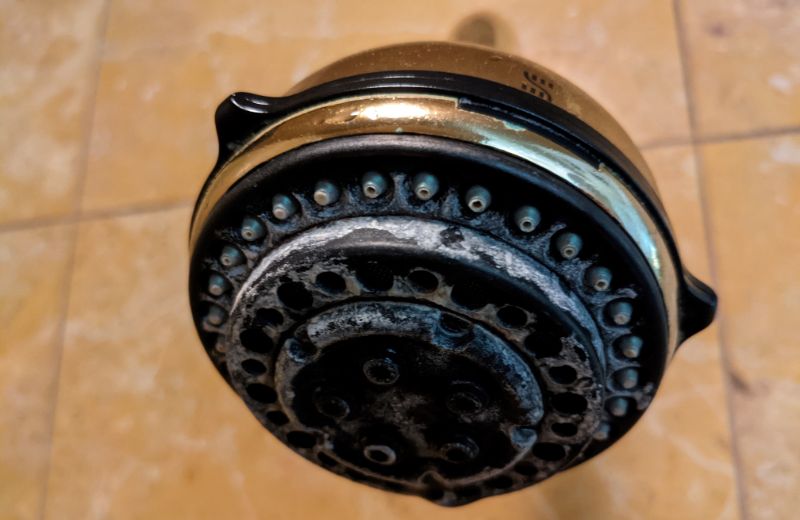 Showerhead with limescale buildup