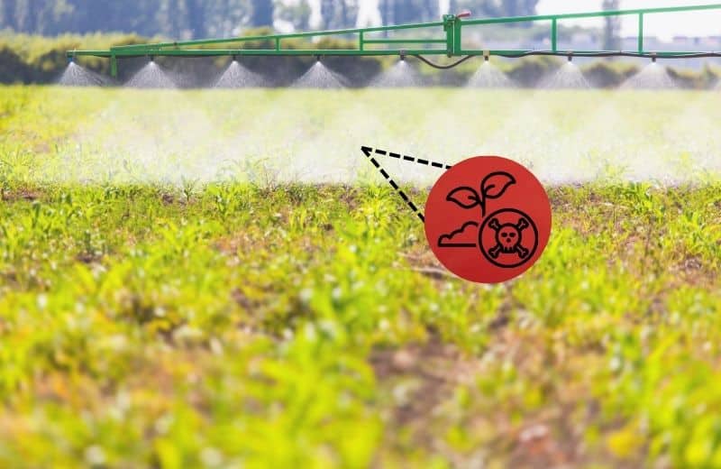 herbicide water contamination