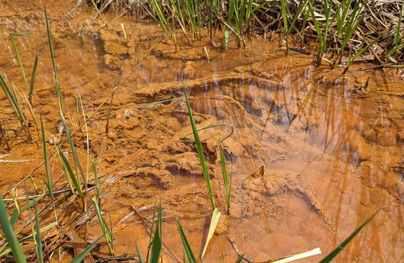 Muddy soil around wayer well