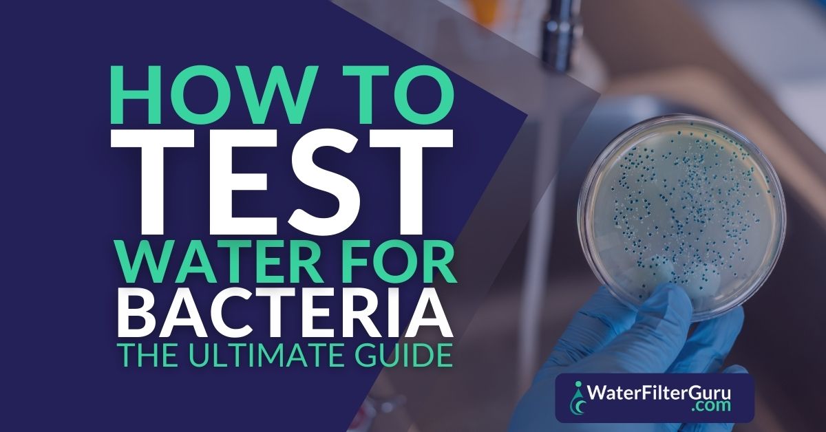 How to Test Water for Bacteria