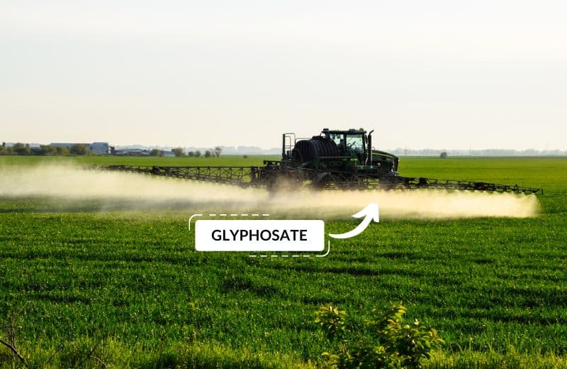 Forestry and agricultural applications of Roundup