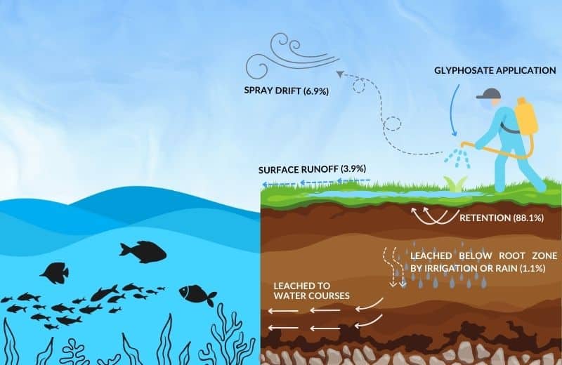 Surface Runoff (Glyphosate)