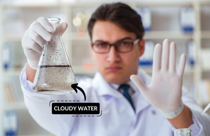 Water in test tube appears cloudy