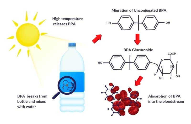 Why You Should Never Leave Bottles of Water in Your Hot Car