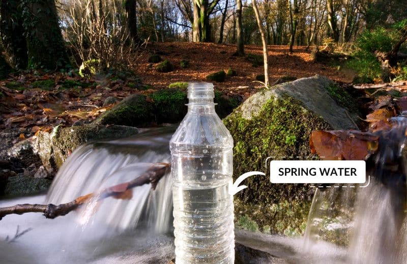 Is Poland Spring Water Good & Where Does It Come From?