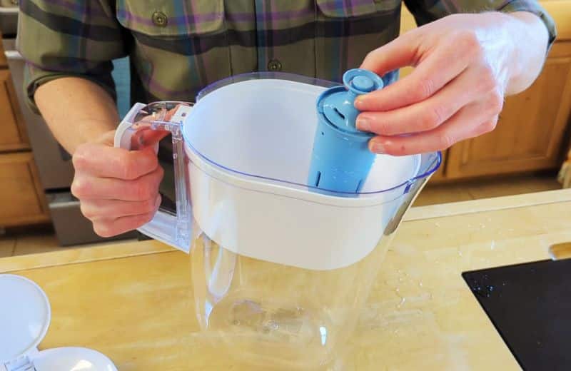 Why Brita Filters Get Mold (& How To Prevent It)