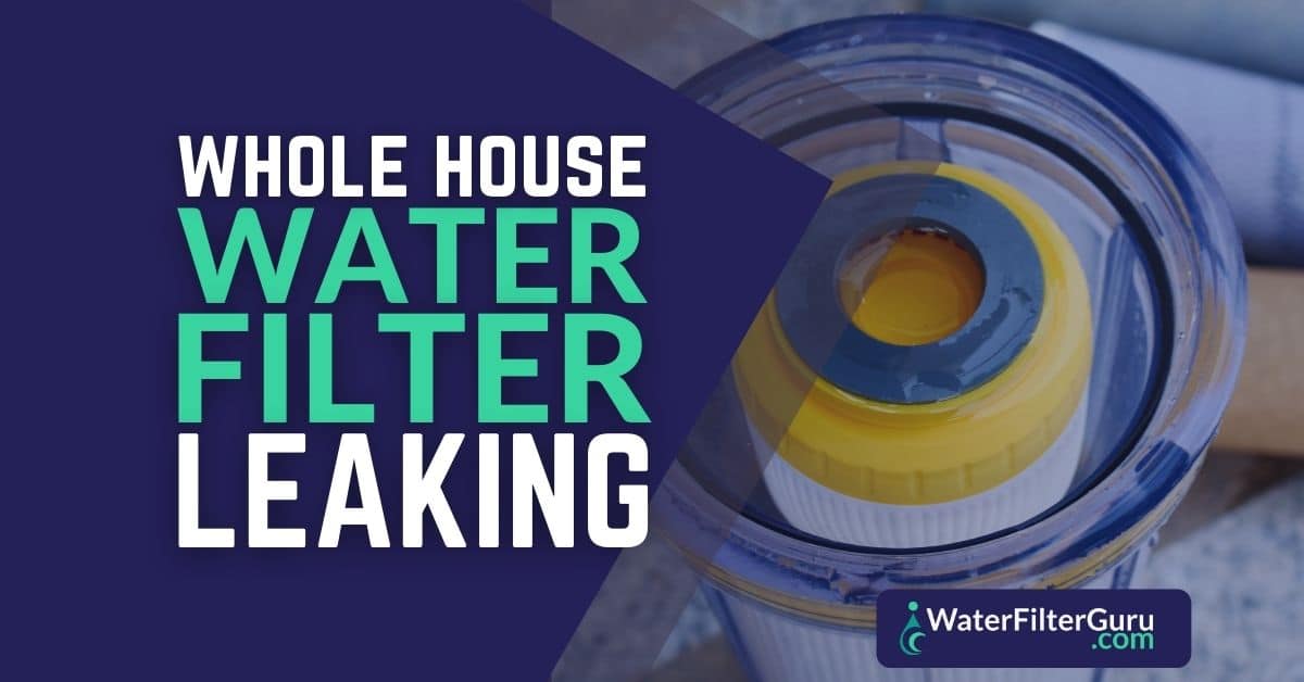Whole House Water Filter Leaking? (Easy Hacks to Fix It)