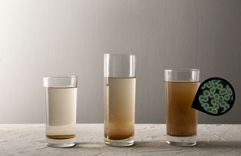 well water black sediment floating in glasses