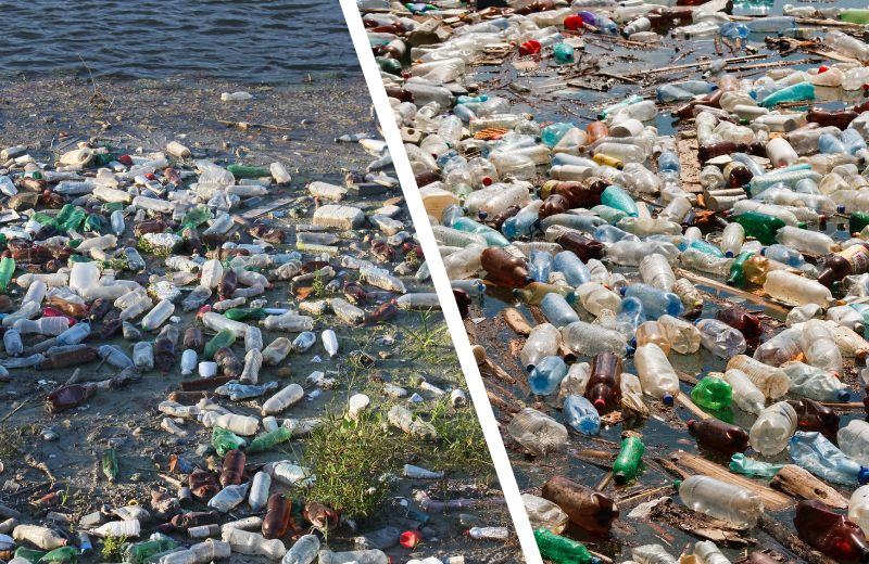 Water bottle plastics harming the environment