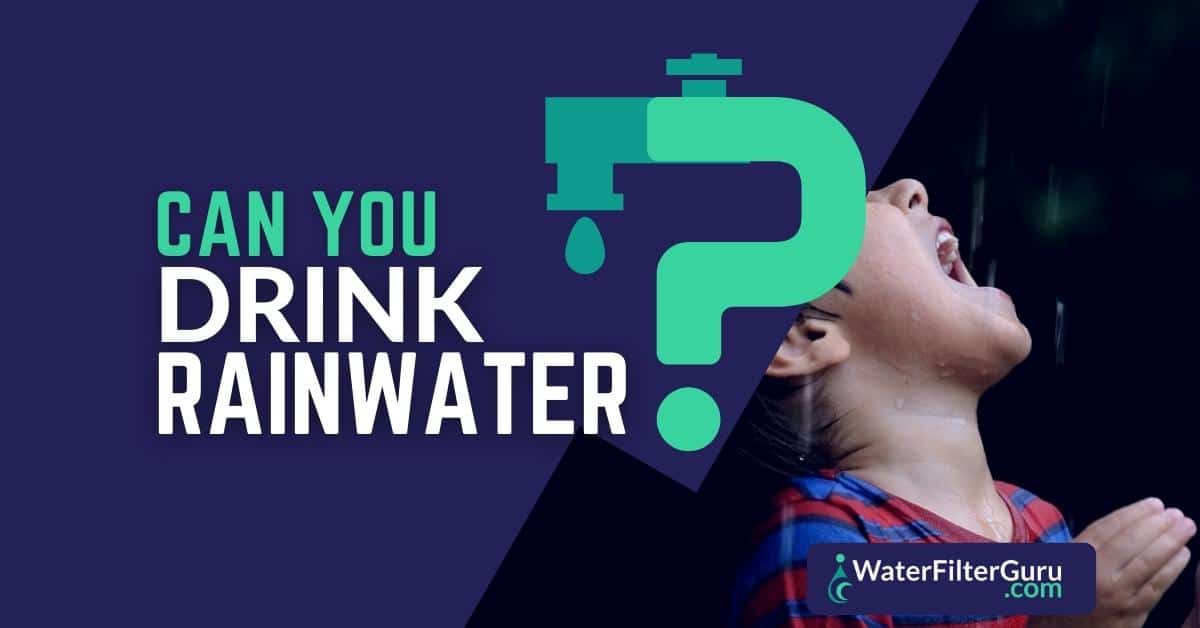 Can You Drink Rain Water? (This is When it's Safe or Not)