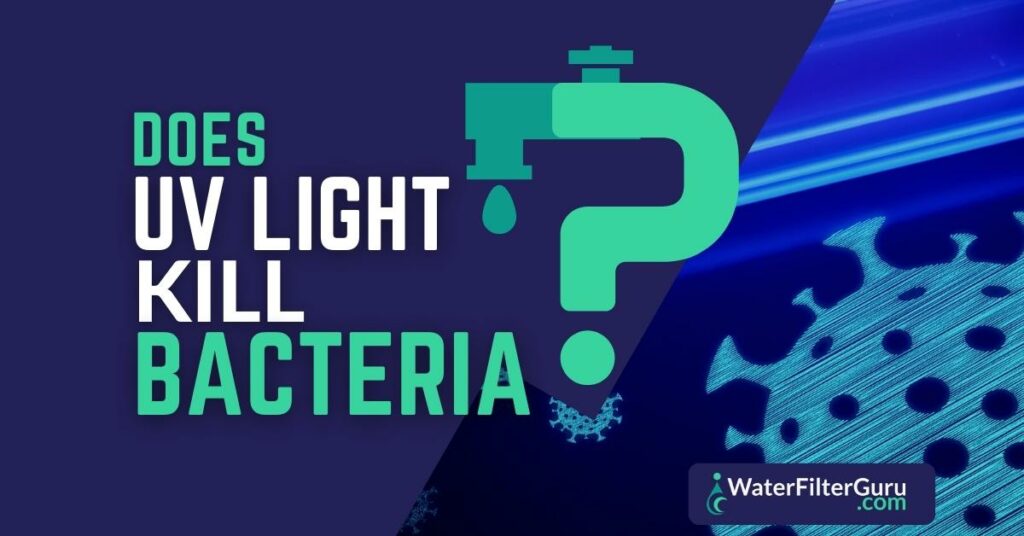 Does UV Light Kill Bacteria