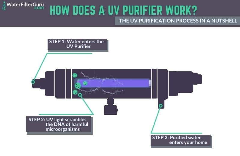 How uv water purifiers work