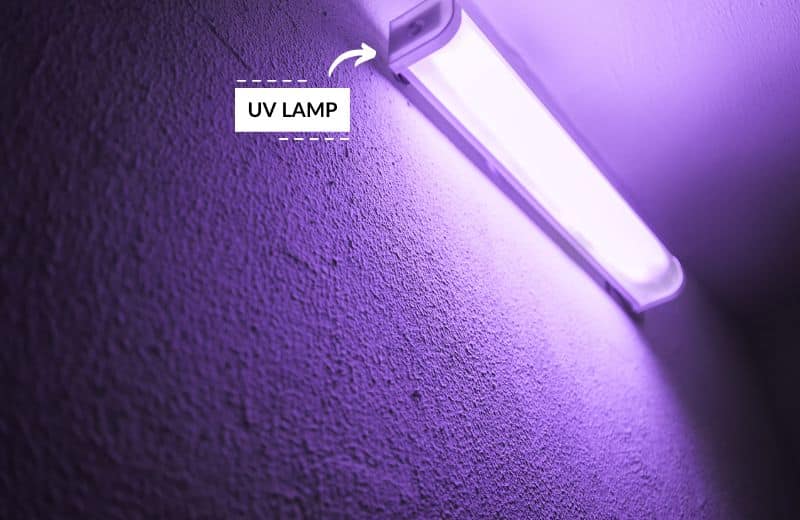 Uv lamp on table