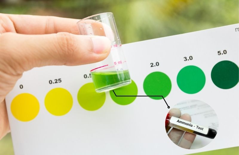 Testing ammonia in tap water