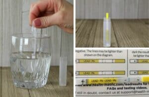Health metric lead test