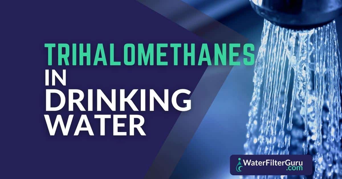 Water Filter Guru — Trihalomethanes in Water What You Need to Know in...