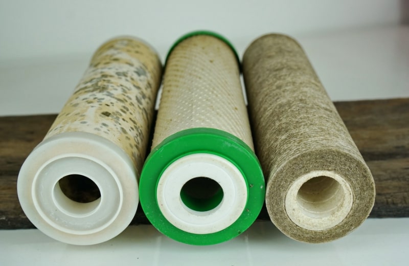 Algae and mold growth on water filter cartridges