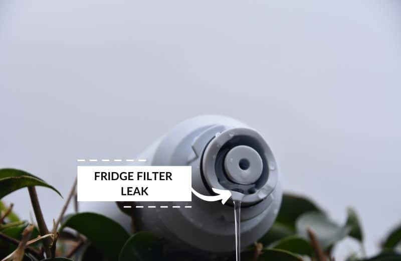 Fridge filter leaking