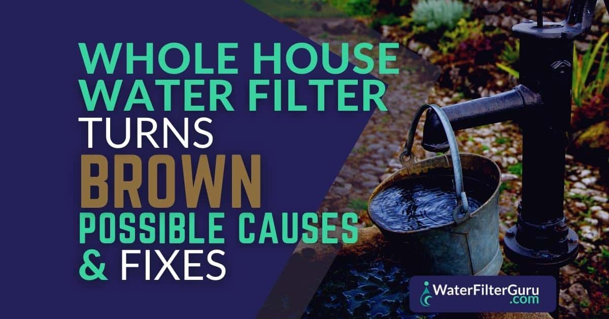 Whole House Water Filter Turns Brown (Top Causes & Fixes)