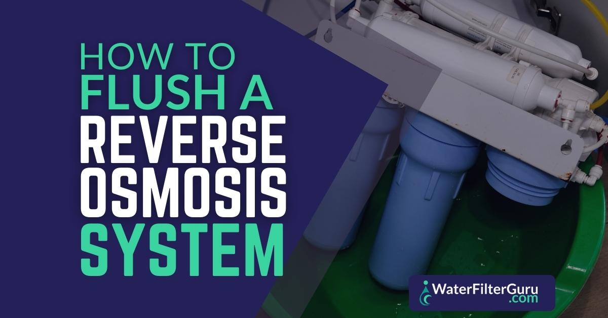How To Flush a Reverse Osmosis (RO) System StepbyStep