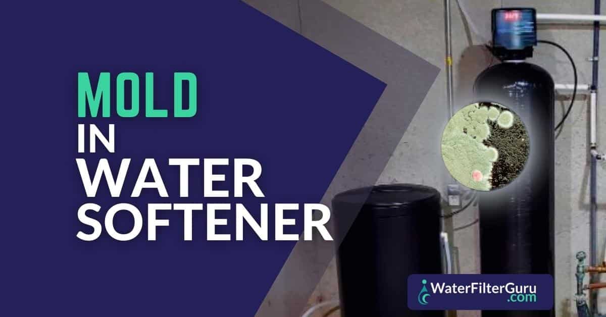 Mold in Your Water Softener How to Spot it and Stop it