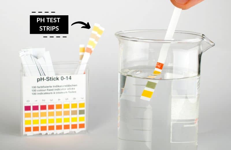 Testing water acidity with ph test strips