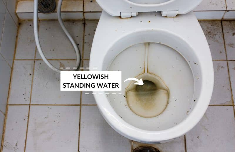 Standing water in toilet