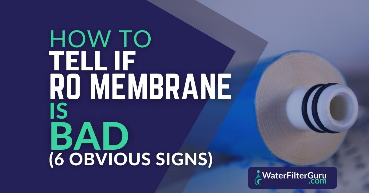 How to Tell if RO Membrane is Bad (6 Obvious Signs)