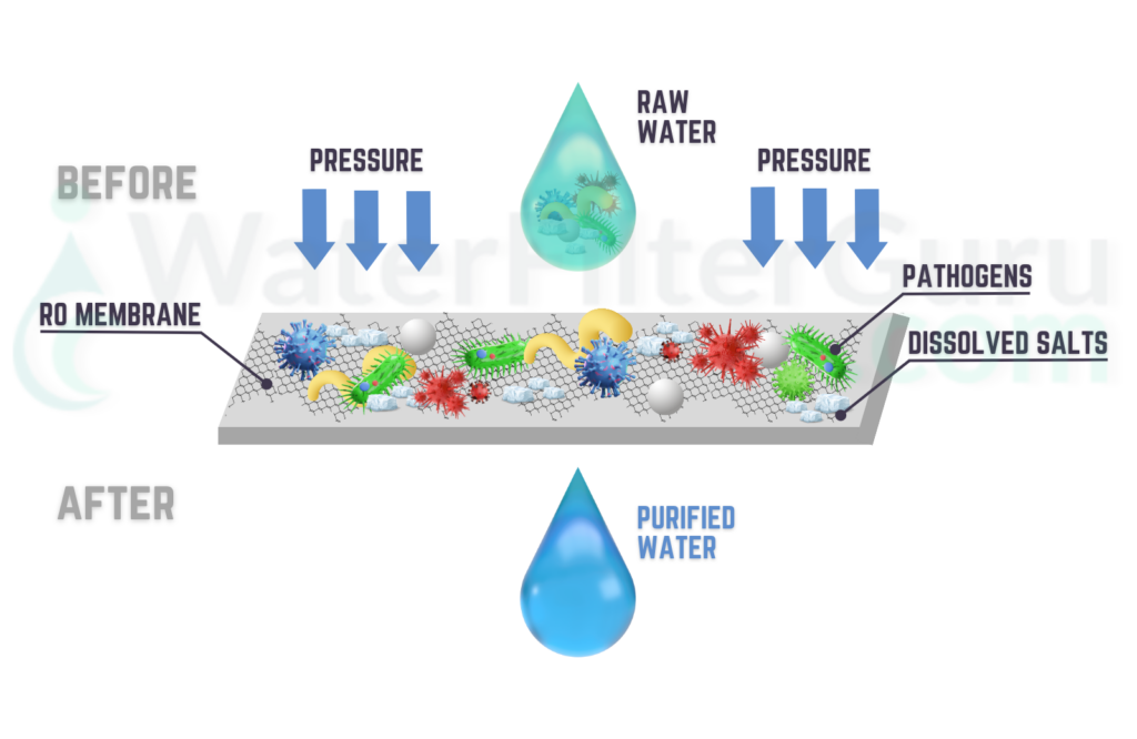 Closer look of the reverse osmosis membrane