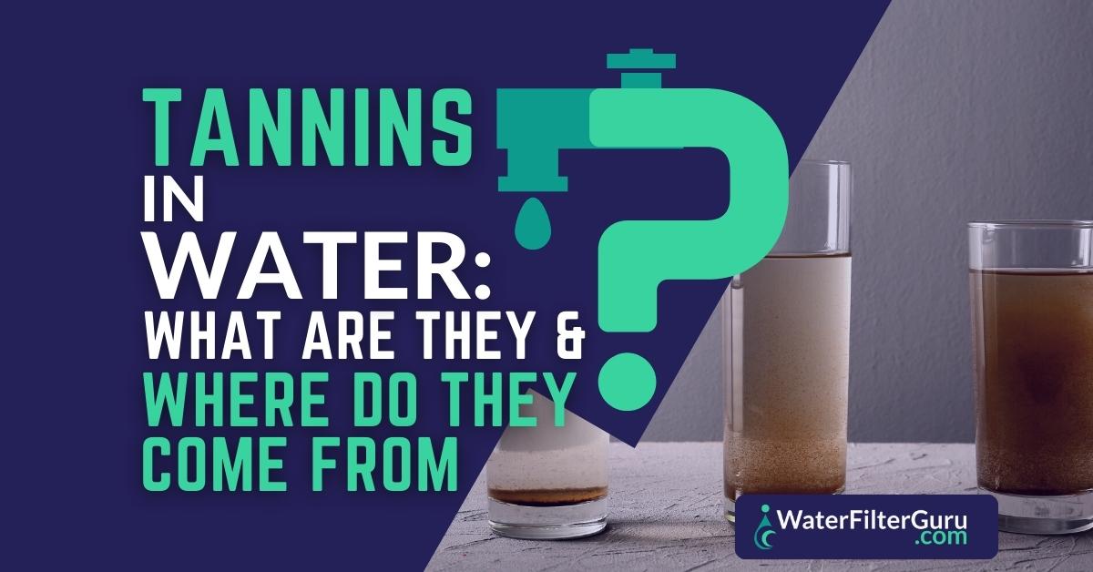 Tannins in Water What Are They & Where Do They Come From?