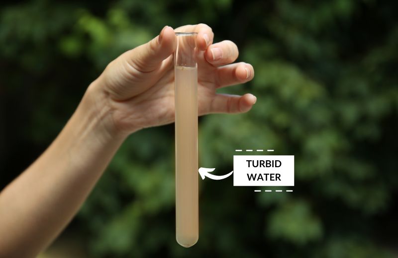 Turbid water in a test tube