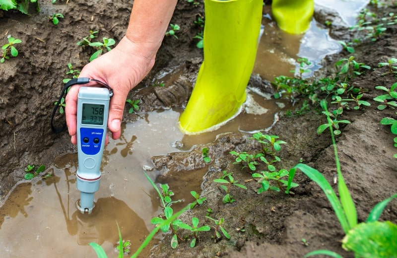 Measuring turbidty levels with a turbidity meter