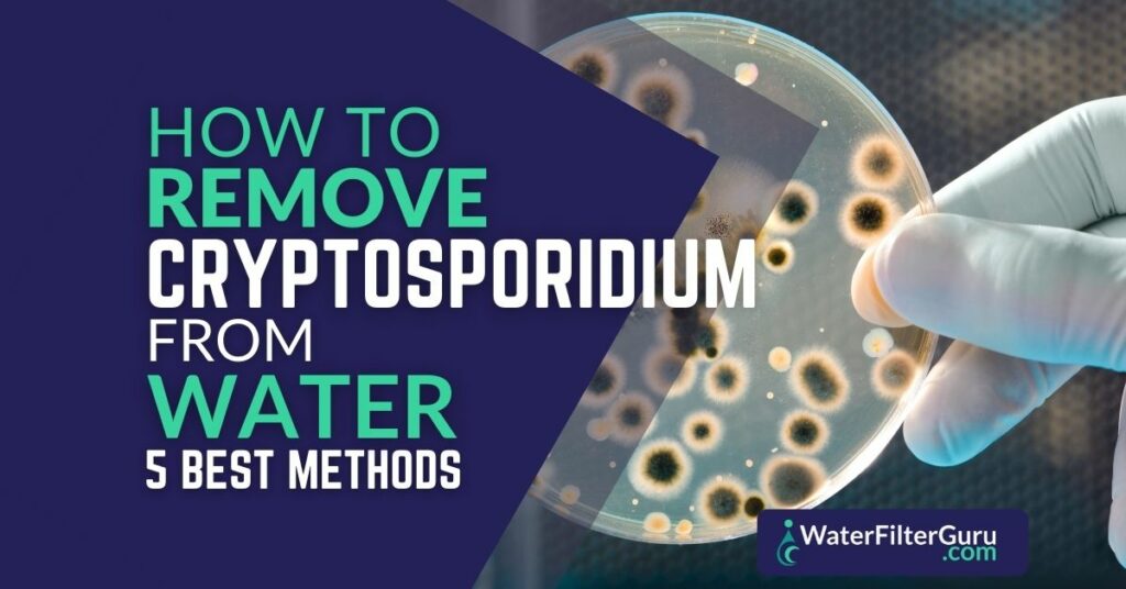 How To Remove Cryptosporidium From Water