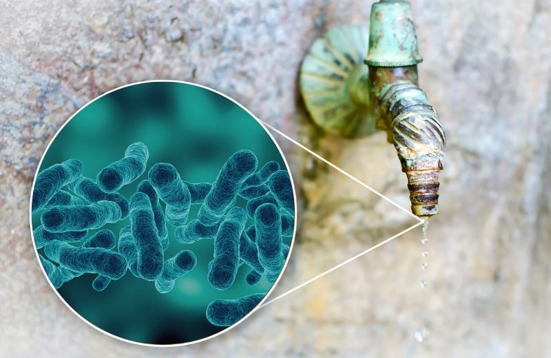 Legionella in tap water