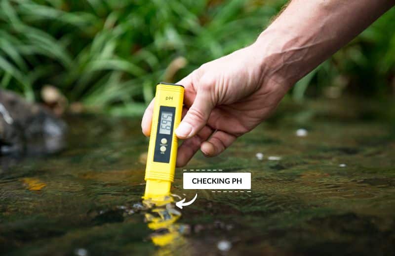 Checking water alkalinity with pH Meter