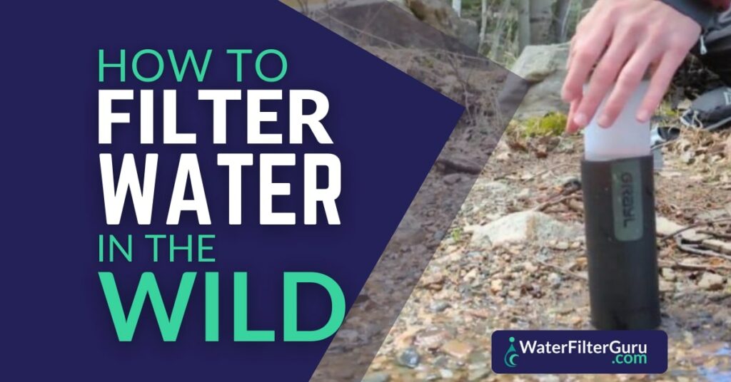 How To Filter Water In The Wild