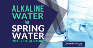 Alkaline Water Vs Spring Water
