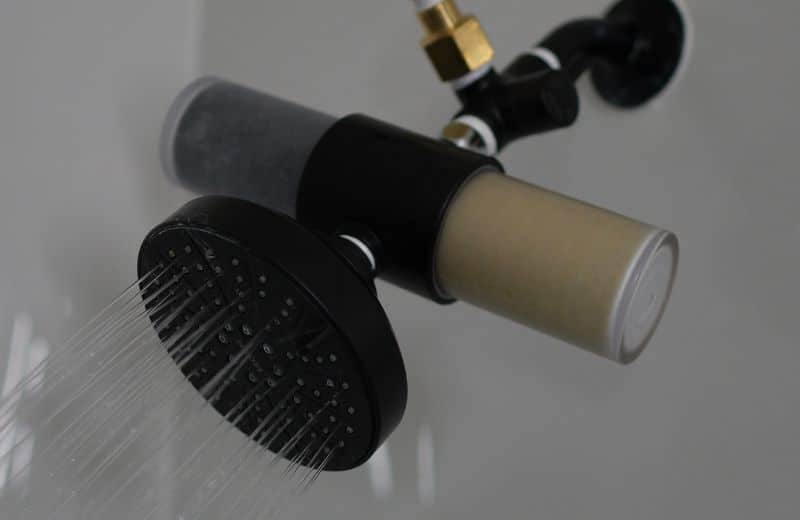 weddell duo with brown sediment filter weddell duo with brown sediment filter